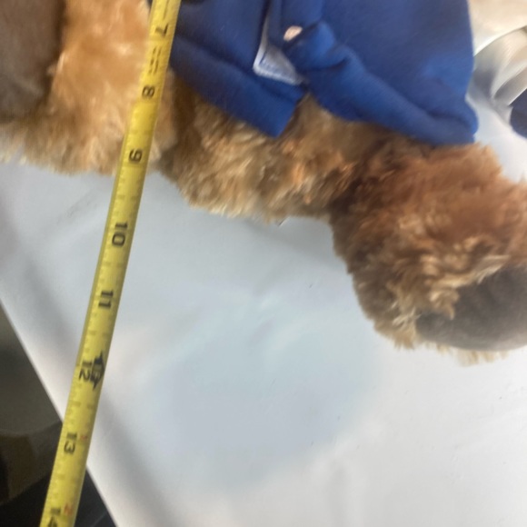 Tampa Bay Lightning NHL teddy bear plush Lightning Jacket FOCO   USA - Picture 3 of 4